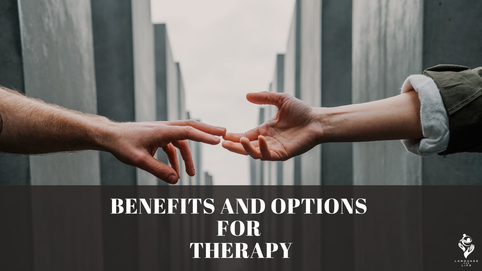 Benefits and Options for Therapy Language for Life