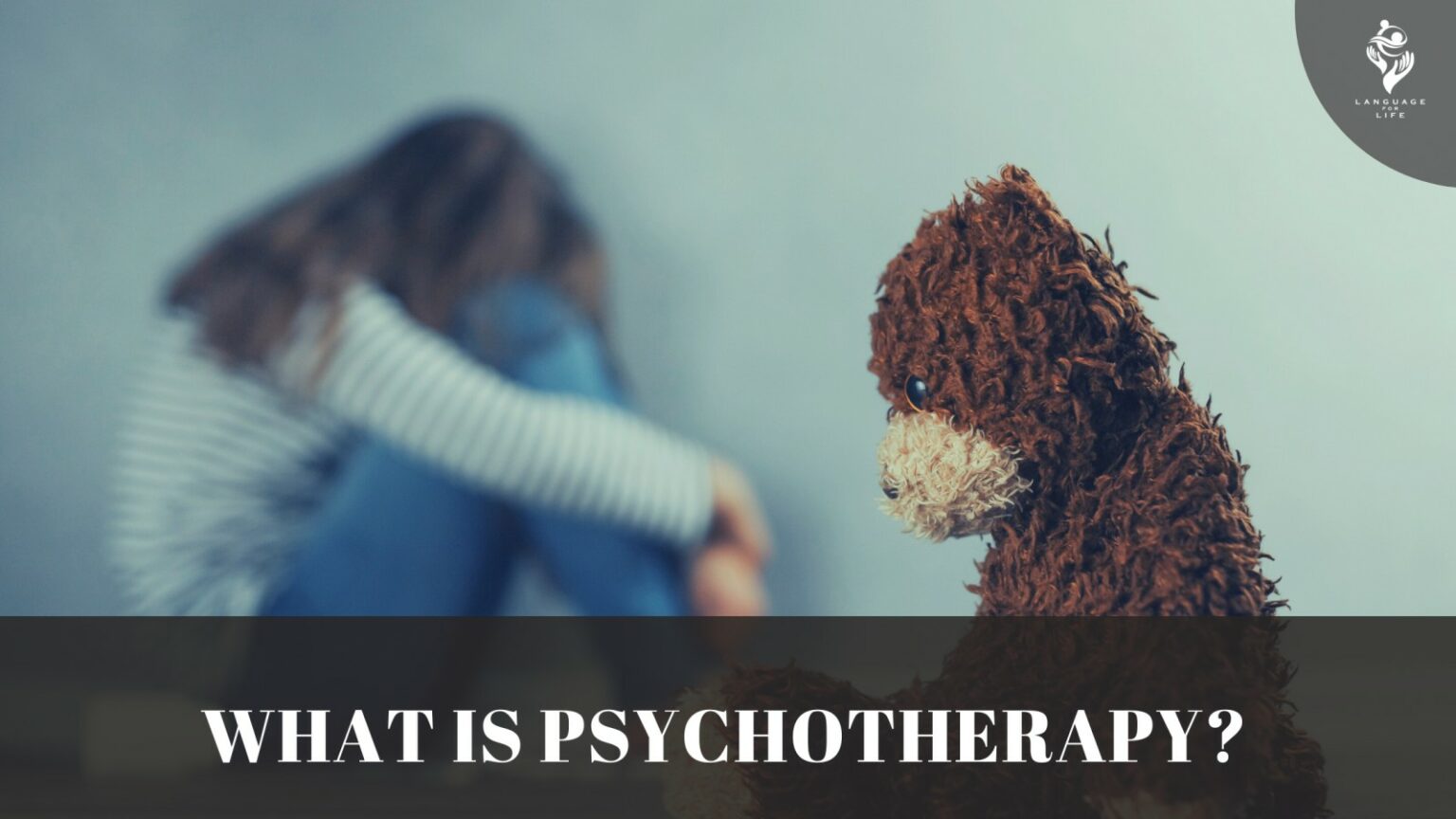 What is psychotherapy? | Language for Life