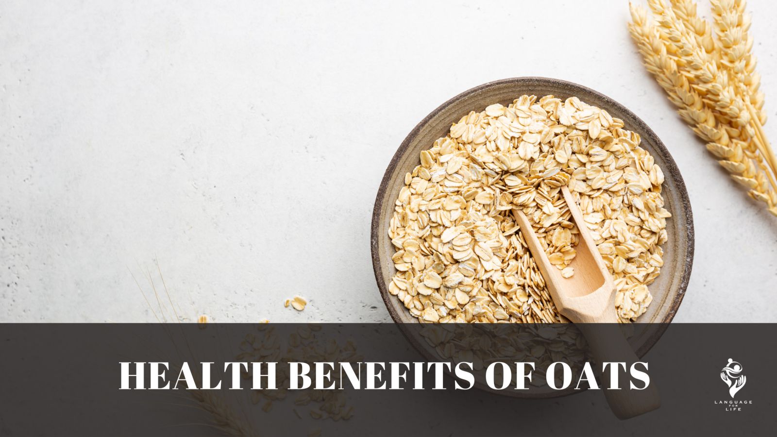 Health benefits of Oats | Language for Life
